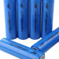 Introduction to the Lithium Battery Industry in Southeast Asia